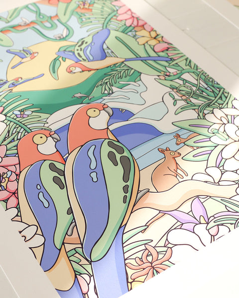 Rosella Sunrise Art Print