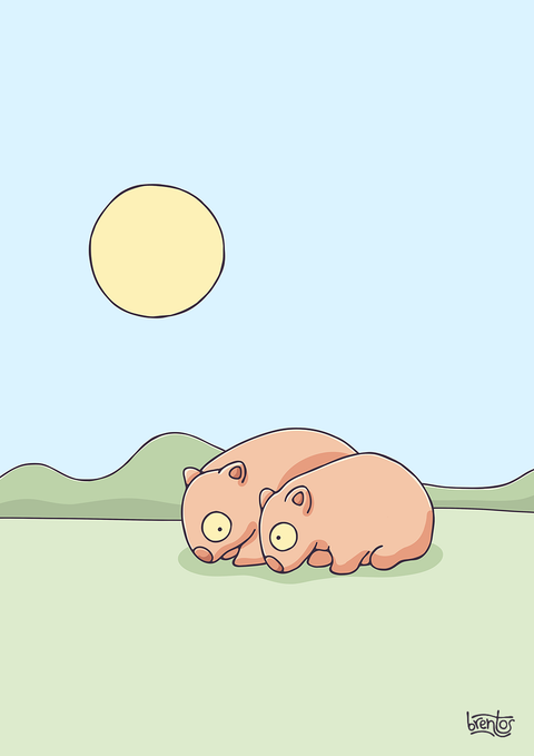 Create Your Own Wombat Couple Print