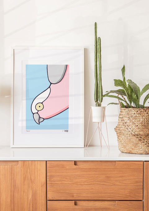 Galah Art Print