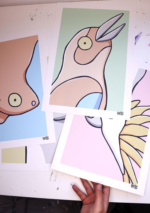 Possum Art Print
