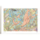Kelp Forests Art Print