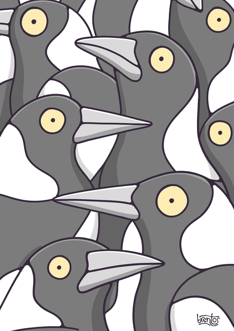 Magpies Art Print