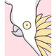 Cockatoo Art Print