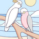 Coastal Cockatoos Art Print
