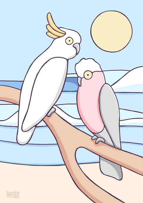 Coastal Cockatoos Art Print