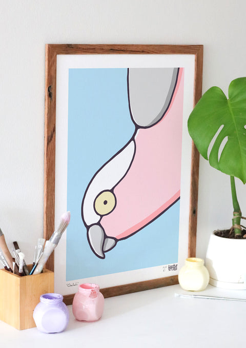 Galah Art Print