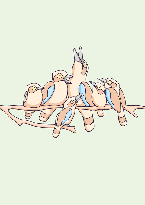 Create Your Own Kookaburra Family Print